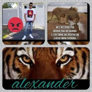 Meet your Posher, Edwin alexander